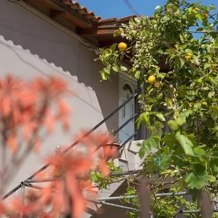 Lejlighed Cozy Loft Big Balcony Comfort Near Sarande